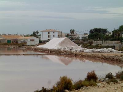 DSCF0087.JPG